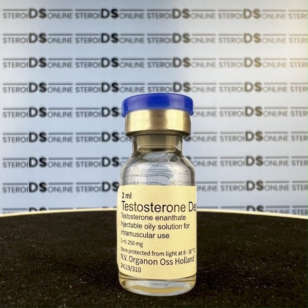 Testosterone Depo 250 mg Organon