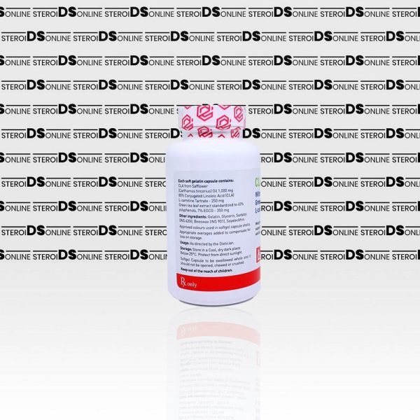 CLA+ (60 capsules) Elbrus Pharmaceuticals - Imagen 2