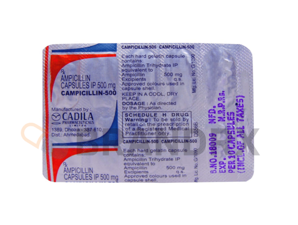 Campicillin 500 mg Cadila Pharmaceuticals Ltd. - Imagen 3
