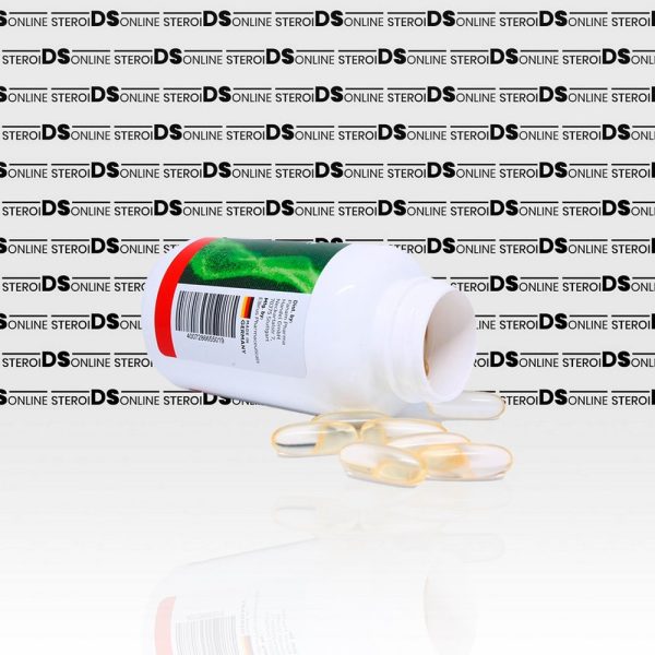 CLA+ (60 capsules) Elbrus Pharmaceuticals - Imagen 3